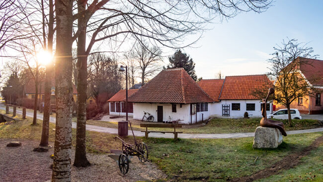 Aasum Gamle Smedje i baggrunden med hvidkalket bindingsværk og nyt, rødt tegltag. Græs i forgrunden. Morgensolen ses mellem træer til venstre i billedet.